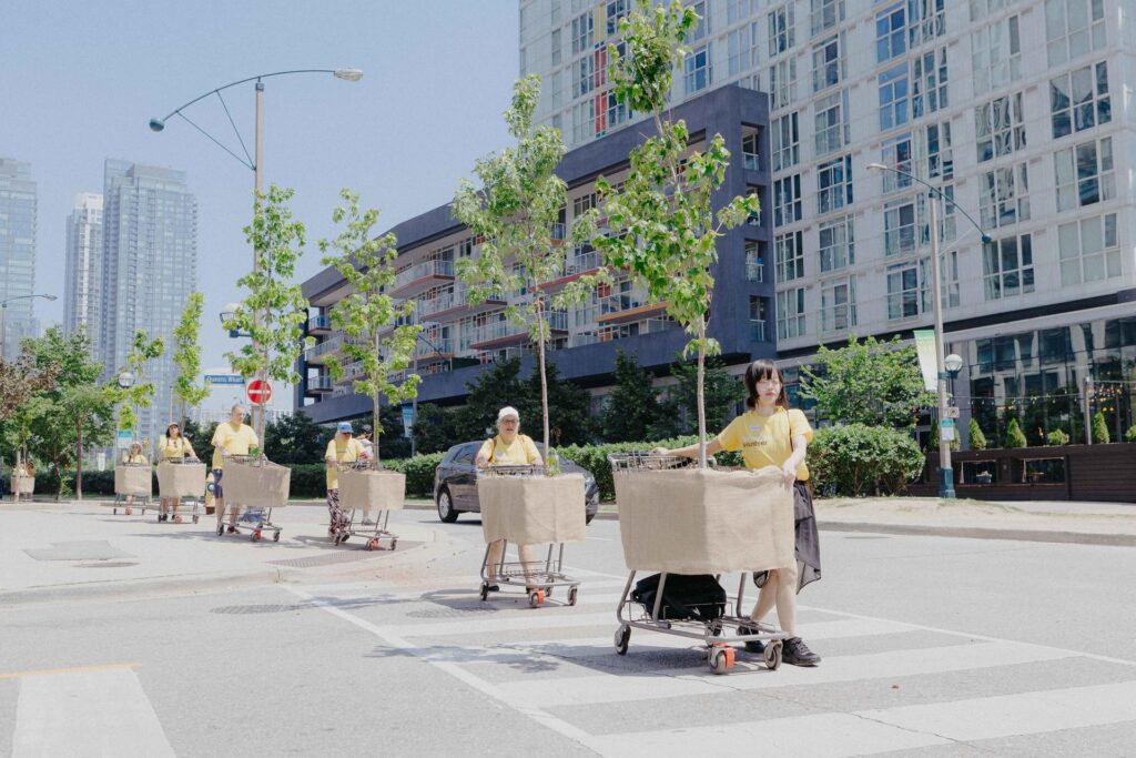 A group of volunteers guides trees loaded into shopping carts, across an urban road.