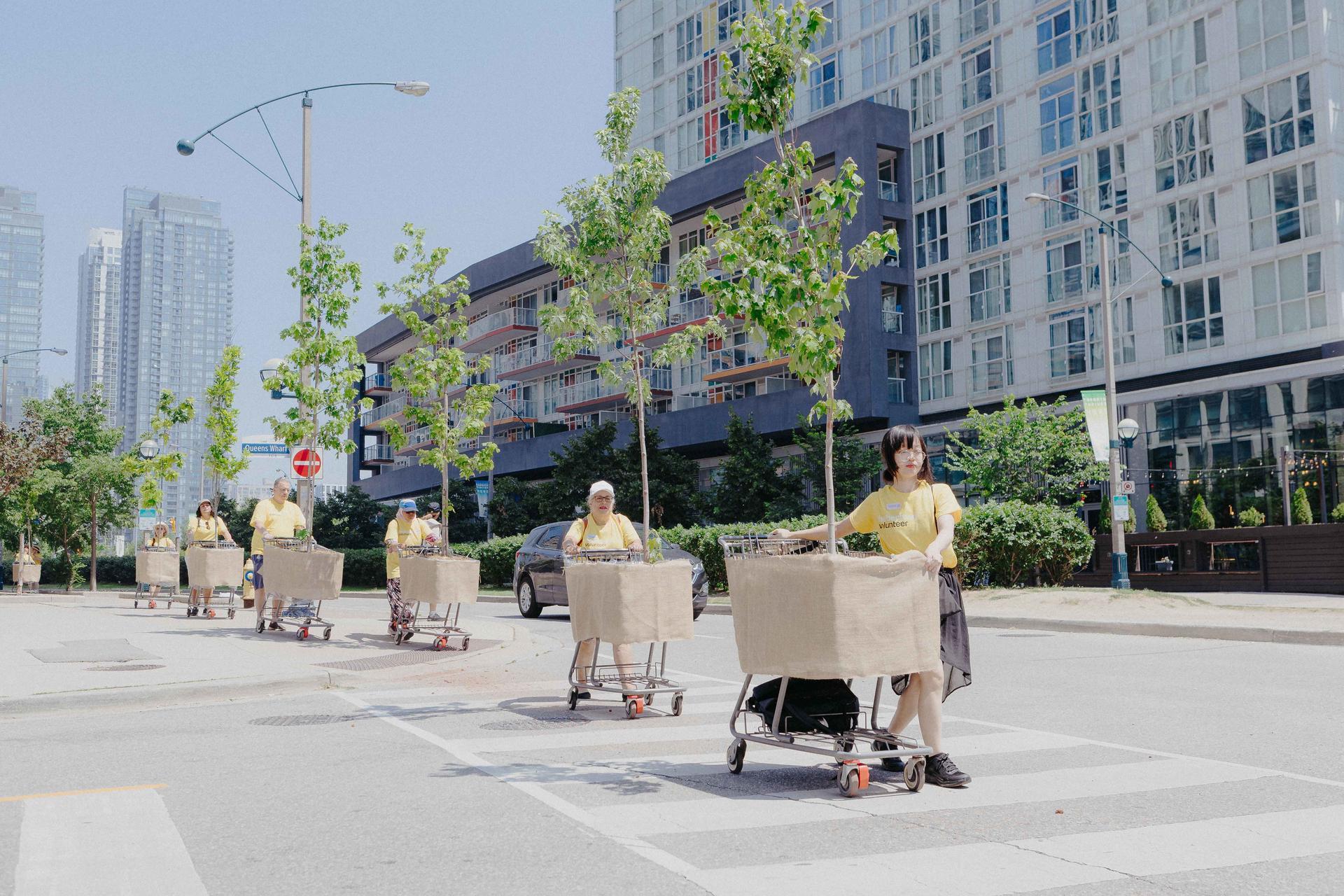 Moving Forest