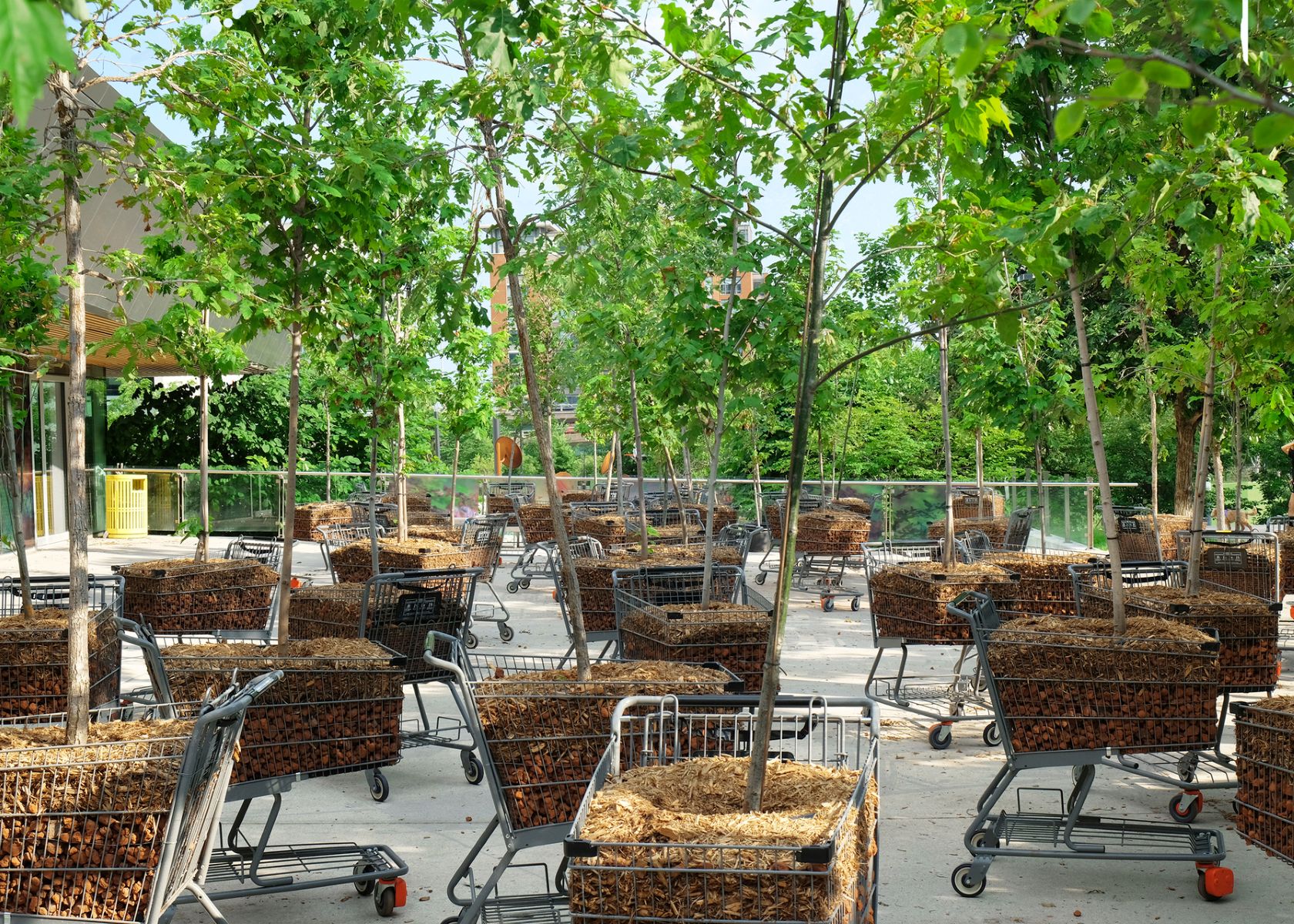 Moving Forest @ Waterfront Neighbourhood Centre