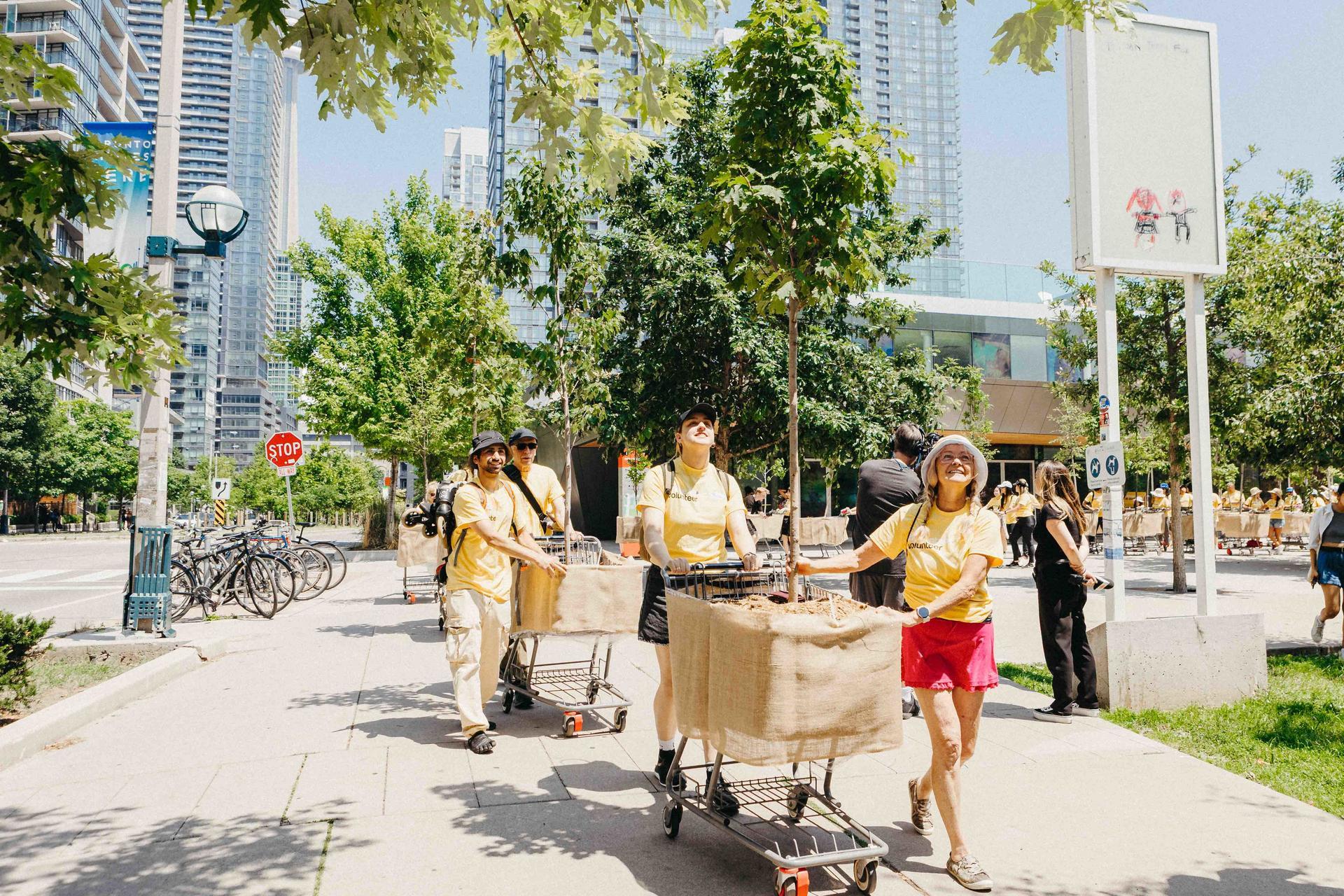 Moving Forest Parade to Harbourfront Centre