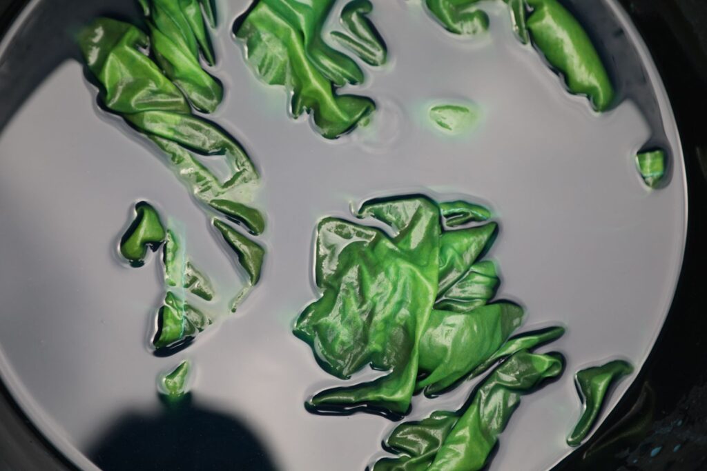 Large piece of silk fabric being dyed green in a pot.